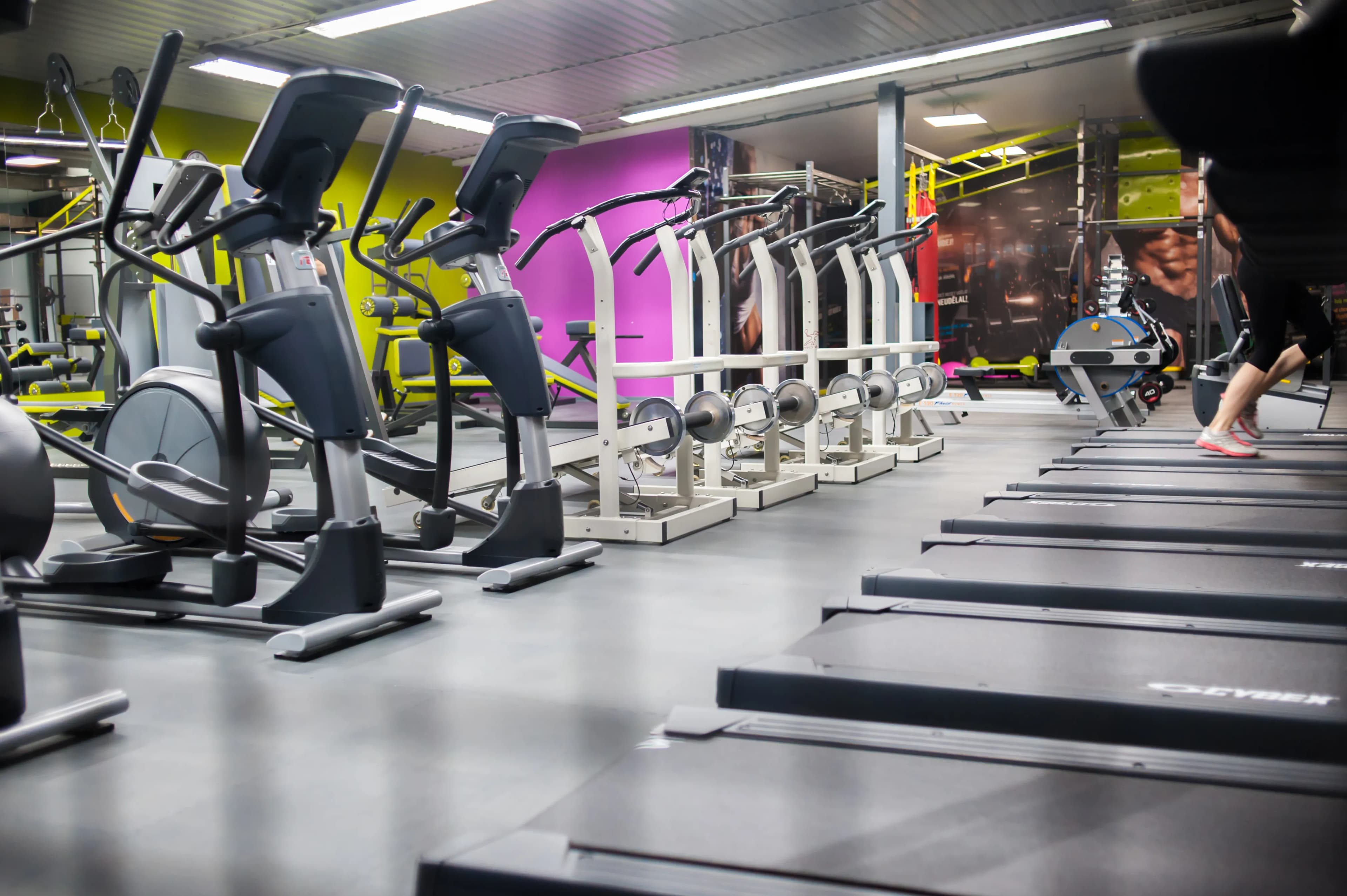 Erstklassiger Bodenbelag für Fitnessräume in Deutschland